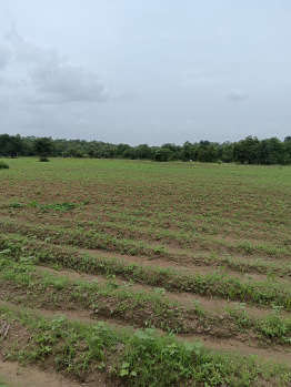 Property for sale in Kondhali, Nagpur