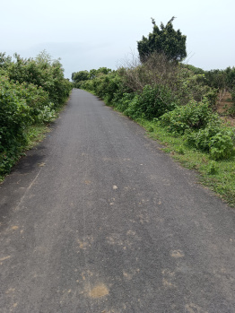Agricultural/Farm Land for Sale in Kondhali, Nagpur (4 Acre)