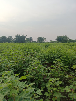 Property for sale in Gorepeth, Nagpur