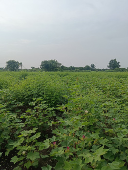 Property for sale in Gorepeth, Nagpur