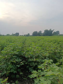 Property for sale in Gorepeth, Nagpur