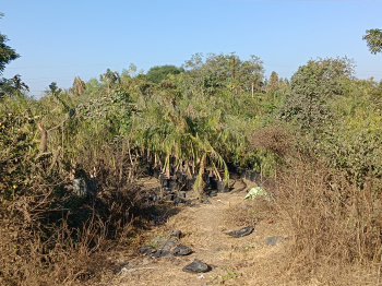 Property for sale in Ghogali, Nagpur