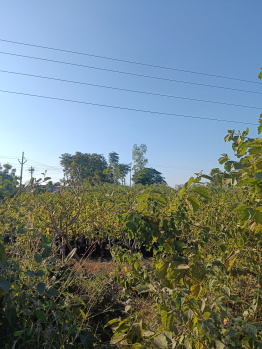 Property for sale in Ghogali, Nagpur