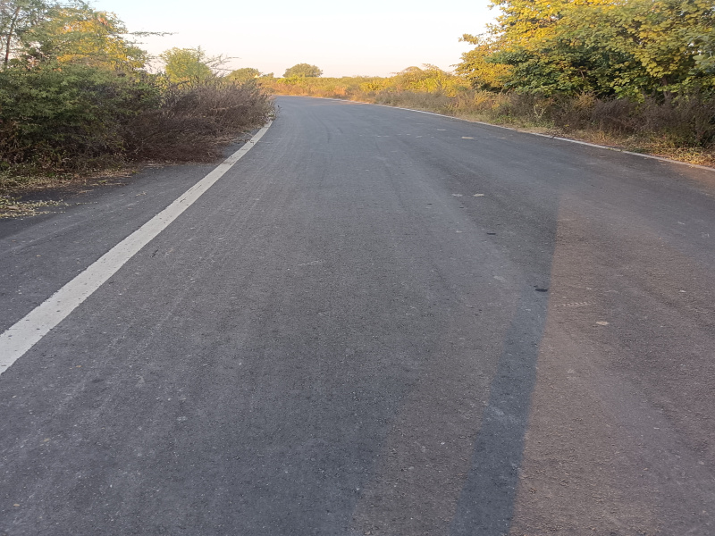 2.25 Acre Agricultural/Farm Land for Sale in Gotal Panjari, Nagpur