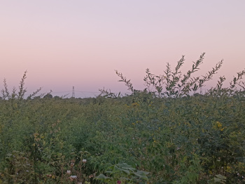 Property for sale in Mohapa, Nagpur