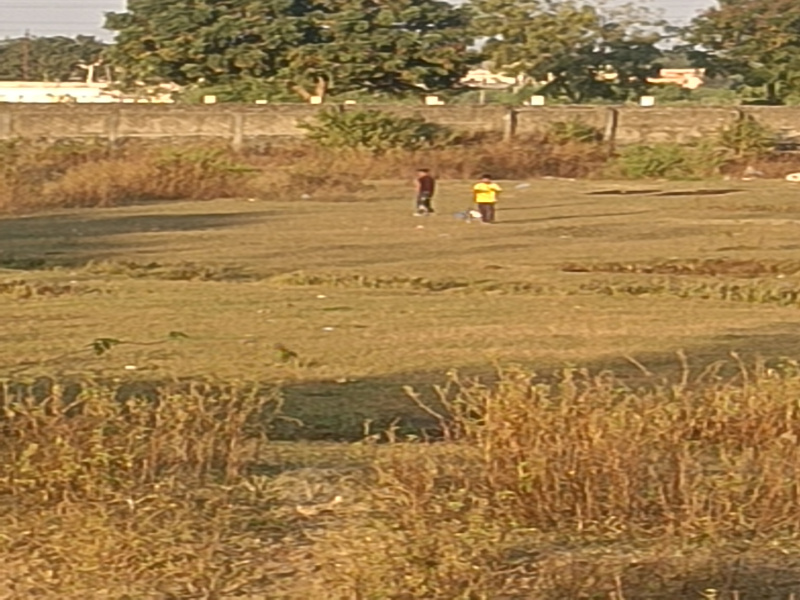 Agricultural/Farm Land for Sale in Davlameti, Nagpur (2.75 Acre)