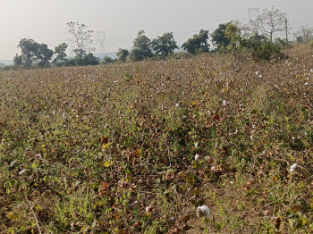 Property for sale in Kalameshwar, Nagpur