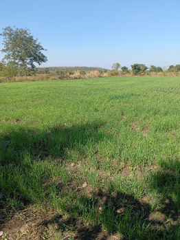 Property for sale in Kalameshwar, Nagpur