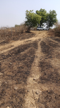 60 Acre Agricultural/Farm Land for Sale in Tekadi, Nagpur