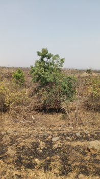 Property for sale in Tekadi, Nagpur