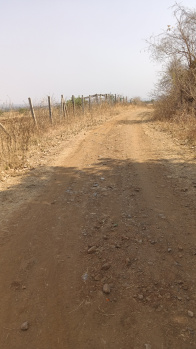 60 Acre Agricultural/Farm Land for Sale in Kalameshwar, Nagpur