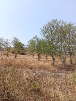 Property for sale in Kalameshwar, Nagpur