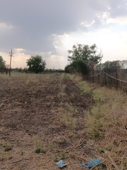 3.25 Acre Agricultural/Farm Land for Sale in Kalameshwar, Nagpur