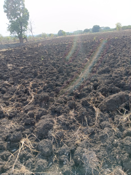 Agricultural/Farm Land for Sale in Katol, Nagpur (2.50 Acre)