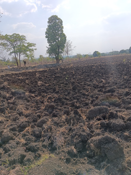 Property for sale in Katol, Nagpur