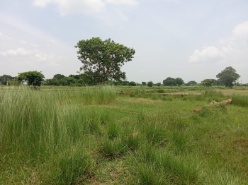 Property for sale in Bhagawanpur, Bhubaneswar