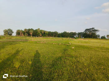 Property for sale in Bhagawanpur, Bhubaneswar
