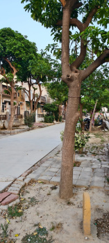 Property for sale in Chaitanya Vihar, Vrindavan