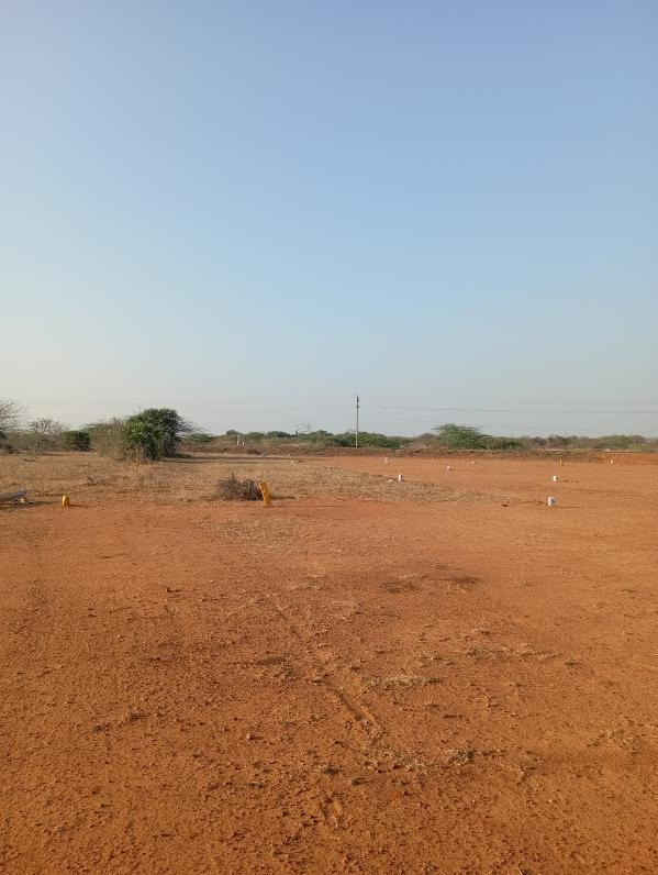 1200 Sq.ft. Residential Plot for Sale in Tamil Nadu (2400 Sq.ft.)