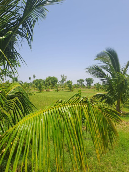 Property for sale in Vayaloor, Tiruchirappalli