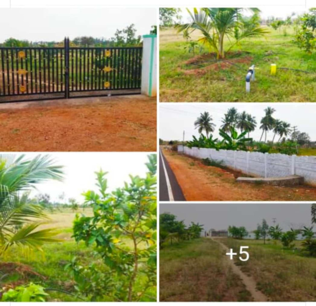 10000 Sq.ft. Agricultural/Farm Land for Sale in Vayaloor, Tiruchirappalli