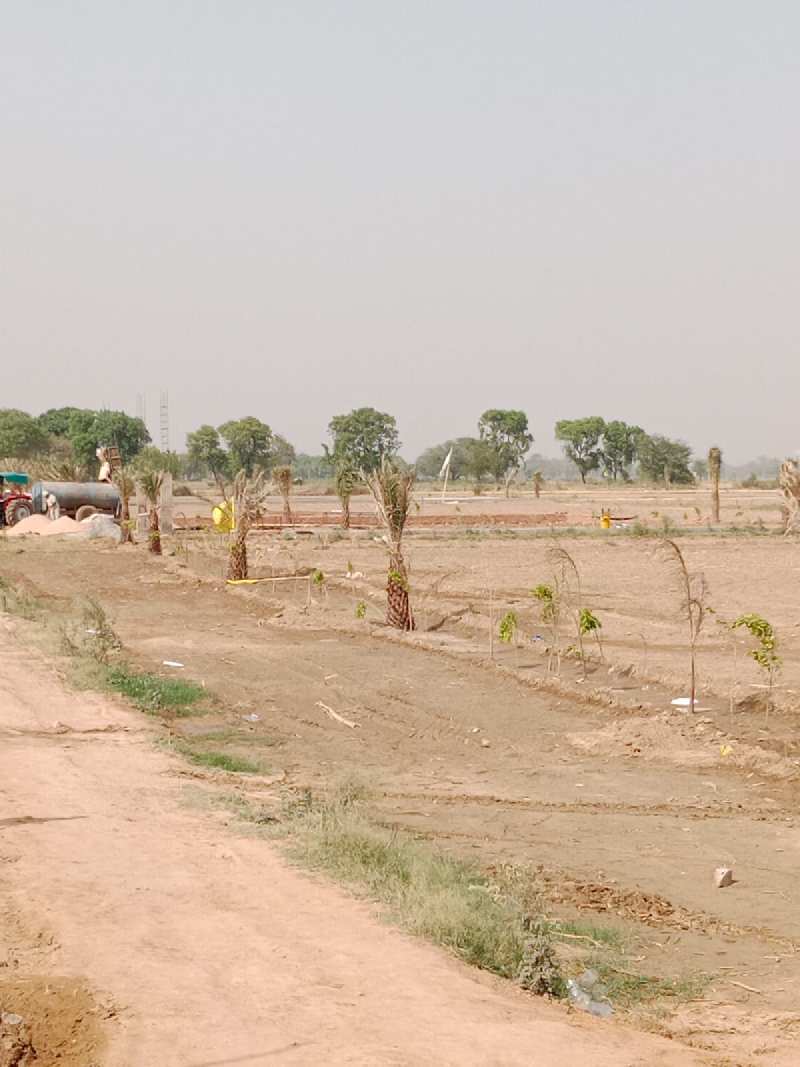 50 Sq. Yards Agricultural/Farm Land for Sale in Tappal, Aligarh