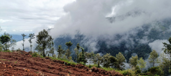 Property for sale in Kondhali, Nagpur