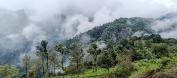 Property for sale in Kondhali, Nagpur