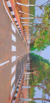 VMRDA approved Sontyam highway facing layout. Loan available. Plot sizes : 90 , 167 , 200 etc. Please contact for details and site visit