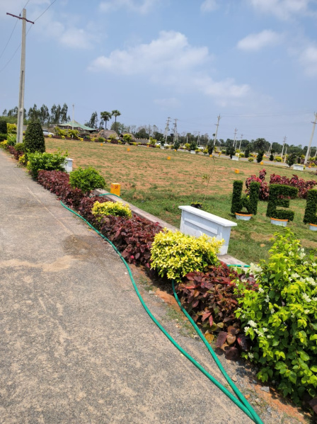VMRDA and Rera approved plots at Akkivaram,  2 km from Svaravalli Highway, Bhogapuram. Rs 13500 per square yard. Loan available.