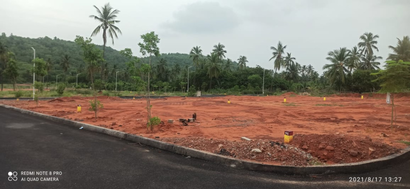 VMRDA plots at Dora thota - Nerellavalasa (proposed 80 ft road) beside Smarty city. Loan Rs 6500 per square yard available. Rs 21000 per square yard ( negotiable ) plot sizes : 200 square yards. Please contact Naresh  9985664546 for details and site
