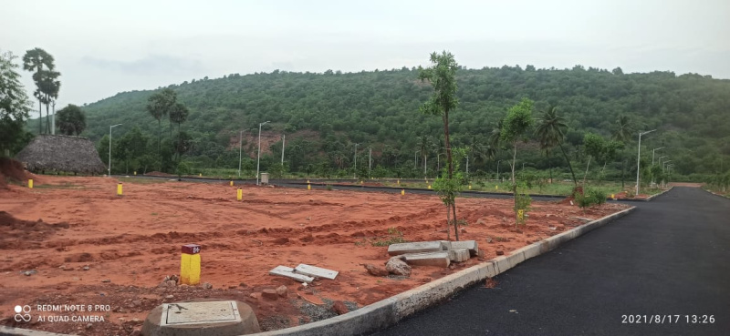 VMRDA plots at Dora thota - Nerellavalasa (proposed 80 ft road) beside Smarty city. Loan Rs 6500 per square yard available. Rs 21000 per square yard ( negotiable ) plot sizes : 200 square yards. Please contact Naresh  9985664546 for details and site