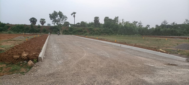VMRDA layout with 40 ft roads, electricity, parks and boundary wall. 500 metres from kothavala - Araku road and the layout is at  Datti, 5 km from Kothavala junction. Rs 10500 per square yard, loan available. Plot sizes - 167 , 200 . Please contact