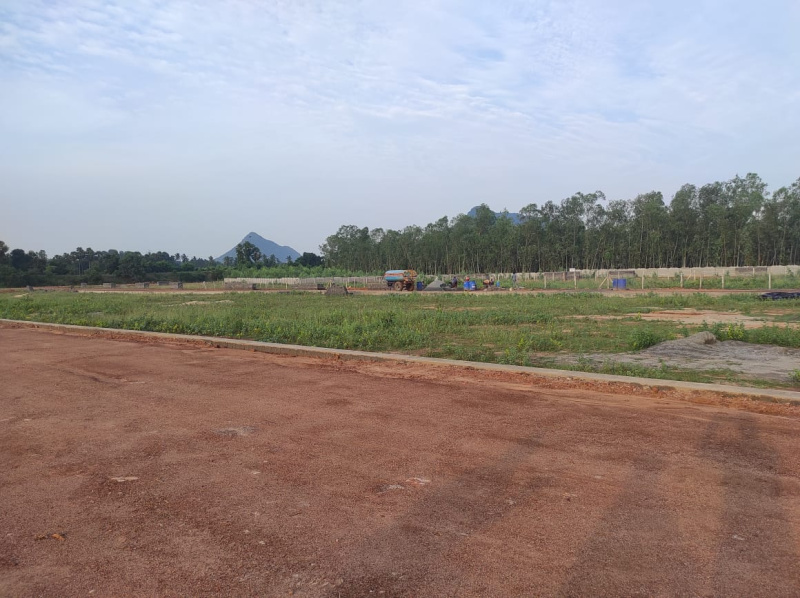 200 Sq. Yards Residential Plot for Sale in Sabbavaram, Visakhapatnam