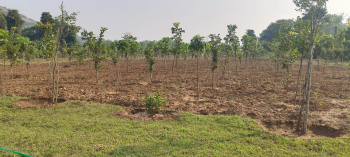 Panchayat approved farm land plots at Ravikamatham, Anakapalli district