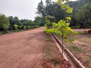 Rs 5500 per square yard at Kothavalasa Konda dhaba church