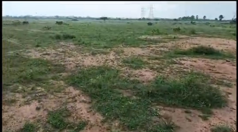 10 Acre Agricultural/Farm Land For Sale In Nanguneri, Tirunelveli