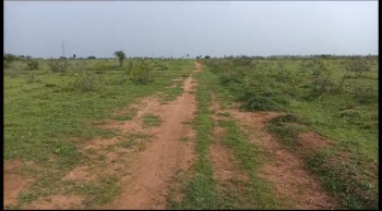Property for sale in Nanguneri, Tirunelveli