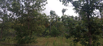 Property for sale in Nanguneri, Tirunelveli