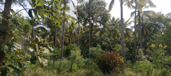 Property for sale in Nanguneri, Tirunelveli