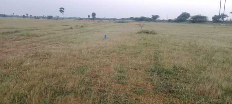 10 Ares Agricultural/Farm Land For Sale In Nanguneri, Tirunelveli