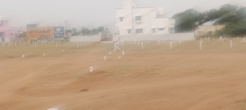 Residential Plot for Sale in Abishekapatti, Tirunelveli (3 Cent)