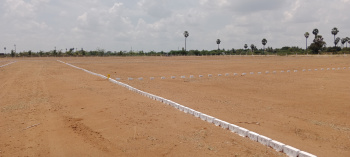 Residential Plot for Sale in Nanguneri, Tirunelveli (3 Cent)