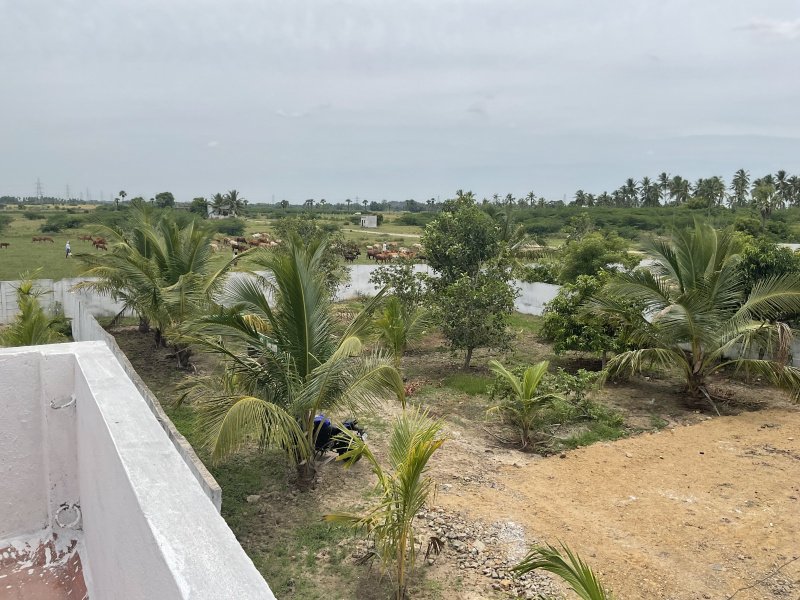 10000 Sq.ft. Agricultural/Farm Land For Sale In Mahabalipuram, Kanchipuram