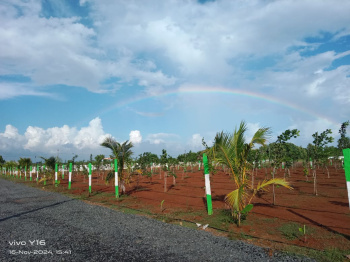 Agricultural/Farm Land for Sale in Cheyyur, Chengalpattu (9600 Sq.ft.)