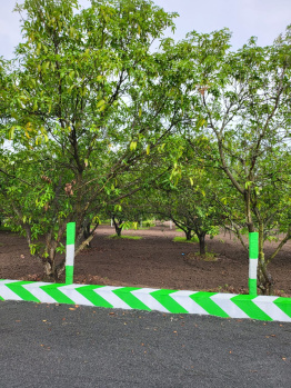 Agricultural/Farm Land For Sale In Olakkur, Villupuram (9600 Sq.ft.)
