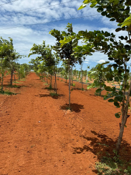 9600 Sq.ft. Agricultural/Farm Land for Sale in Iyyappanthangal, Chennai