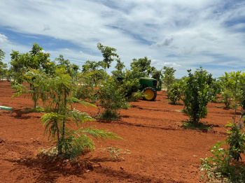 Agricultural/Farm Land for Sale in Cheyyur, Chengalpattu (9600 Sq.ft.)