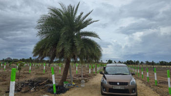 gatedcomunityprojact 7 yearsfree maintanancegusthouse free plantection free