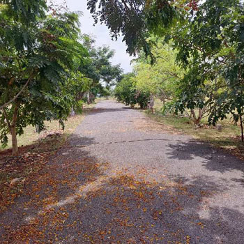 25 Cent Agricultural/Farm Land for Sale in Annur, Coimbatore